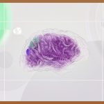 AI 그림, 누구나 쉽게 만드는 마법 같은 세상