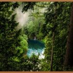 촉촉한 피부, 알로에 미스트 사용법 A to Z