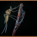 동물보건사, 꿈을 향한 첫걸음!