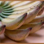 식욕 부진, 이제 안녕! 맛있게 먹는 행복, 되찾기