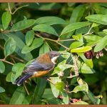 호주 투자 이민, 성공적인 시작을 위한 모든 것