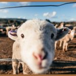 아기 미숫가루, 우리 아기 첫 이유식 성공 비법!