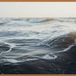 꿀피부 시크릿, 바하 클렌징폼 완벽 분석!