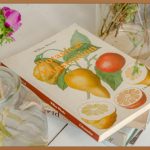 환절기 건강 지킴이, 도라지배즙 제대로 알고 마시자!