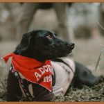 눈성형, 나에게 맞는 곳은 어디?