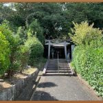 바이오피니티 토릭: 선명한 세상을 위한 선택