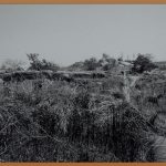 흑염소엑기스, 건강하게 즐기는 방법!