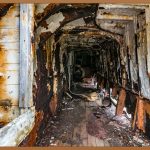 깨진 치아, 지금 바로 대처하는 방법