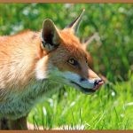 주먹코, 더 이상 고민하지 마세요!