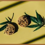 촉촉하고 맛있는 버터쿠키, 집에서 쉽게 만드는 법