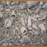 인산칼슘, 뼈 건강 지킴이: 효능부터 섭취법까지