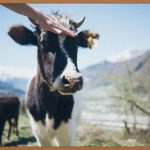 다리알, 얇고 예쁜 다리라인을 위한 모든 것