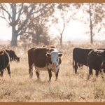 매끈한 다리 라인, 종아리 성형 모든 것