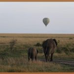 종아리 지방흡입, 망설이는 당신을 위한 완벽 가이드