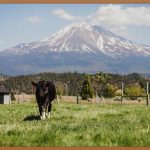 솟아오른 종아리알, 이제 안녕! 완벽 종아리 라인 만드는 법
