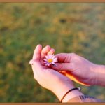 우리 동네 재가요양센터, 놓치면 후회할 혜택