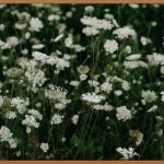 🥕 꿀피부 꿈, 당근크림으로 이루세요!