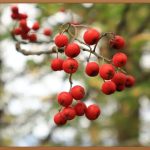 식용구연산, 똑똑하게 활용하는 법