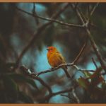 🎵 CM송, 귀를 사로잡는 마법의 멜로디