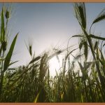 CORNING, 당신의 일상을 바꾸는 기술