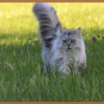 수능, 0원으로 완벽 대비하는 필승 전략