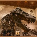 대전 턱보톡스, 숨겨진 V라인을 찾아봐요!