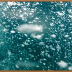 대전 덴서티, 득근하는 당신을 위한 모든 것!