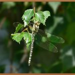 달바 워터풀 톤업 선크림, 진짜 써보니 어때?