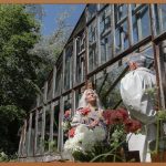 찰랑이는 머릿결, 손상모 복구 완벽 가이드