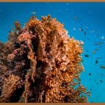 딥클렌징, 피부 고민 끝! 완벽 가이드