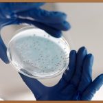 이중 슬릿 실험: 빛의 놀라운 두 얼굴