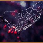 물방울, 영원한 아름다움을 담다