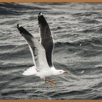 동역학, 움직임을 지배하는 마법의 세계