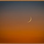 달맞이꽃, 밤하늘 아래 피어나는 건강 선물