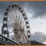 달맞이꽃종자유, 여성 건강 지킴이? 효능부터 섭취 방법까지!