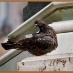 🤩 즉시! 어려 보이는 피부, 아이세럼 효능 A to Z