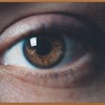 집에서 완성하는 ✨속눈썹 펌 셀프 가이드✨