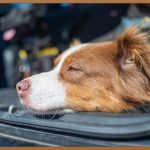 눈매 교정술, 시원한 눈매 완성!