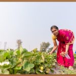 비료 선택, 이것만 알면 고민 끝!