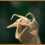 FGF: 피부 고민, 이제 안녕!