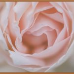 첫 생리, 특별한 시작을 위한 선물 가이드