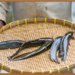 깨끗한 바다, 건강한 수산물: 지속 가능한 양식의 모든 것