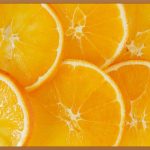 식품위생사, 합격으로 가는 길: 자격 요건부터 시험 꿀팁까지