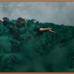 폐가전, 이제 버리지 말고 무료로!