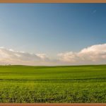 무료 이름 개명, 어렵지 않아요!