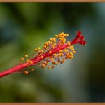 🤩 돈 안 쓰고 고퀄 사진, 이제 걱정 끝!