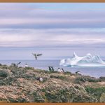 무료체험, 똑똑하게 활용하는 법!