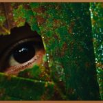 강남 밝은 안과, 당신의 눈 건강을 위한 모든 것