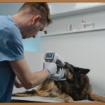 강릉, 당신의 비뇨기 건강을 책임질 곳