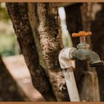 정원 가꾸기, 꿈을 현실로 만드는 방법